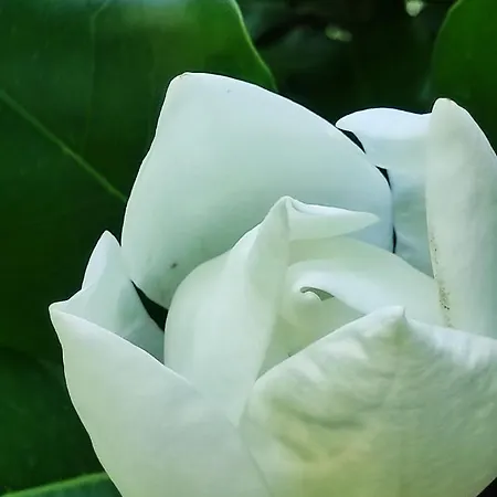 公寓 Casa Do Alto *