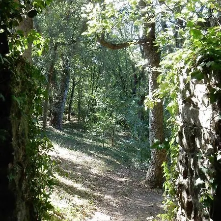 Casa Do Alto * Adaufe