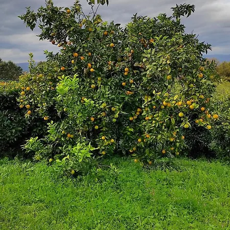 Casa Do Alto * Adaufe