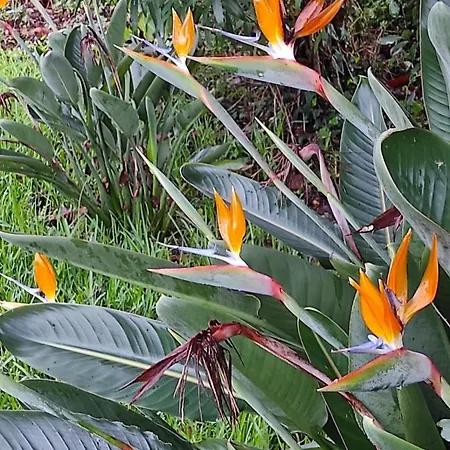 Casa Do Alto 아파트