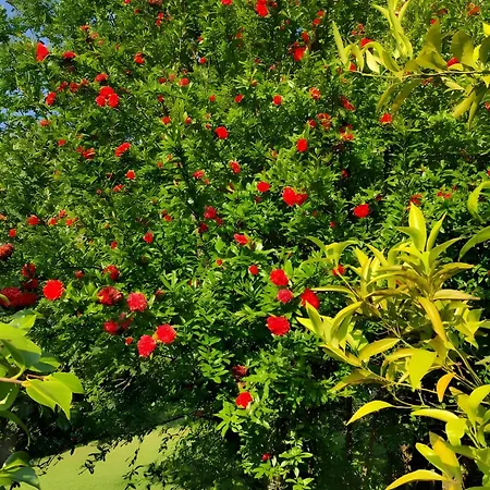 Appartement Casa Do Alto *