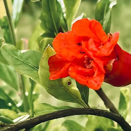 公寓 Casa Do Alto Adaufe