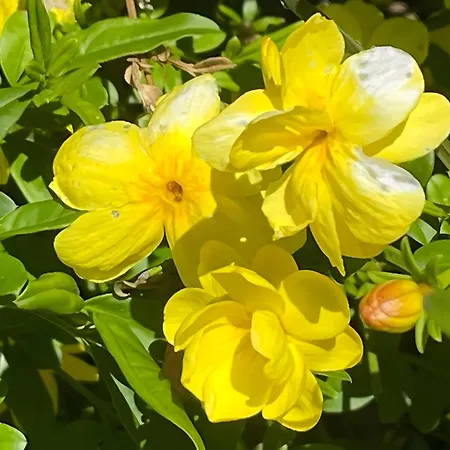 Casa Do Alto 아파트 Adaufe