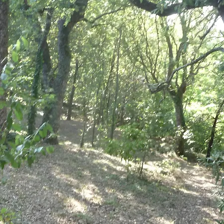 아파트 Casa Do Alto *