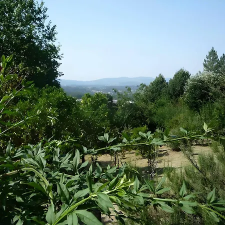 Casa Do Alto * Adaufe