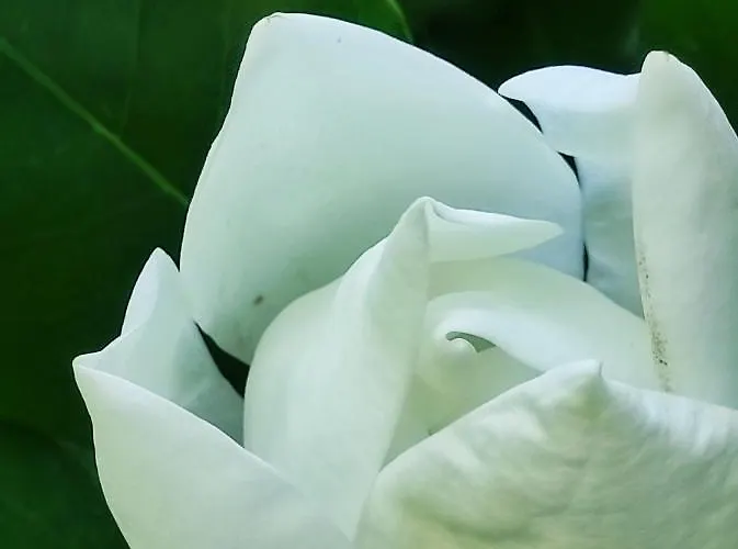 Apartament Casa Do Alto *