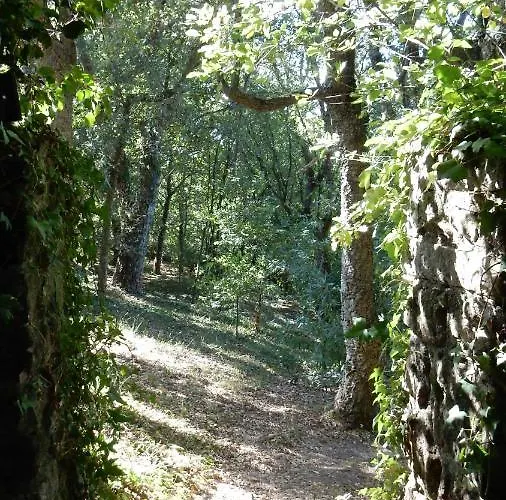 Casa Do Alto * Adaufe