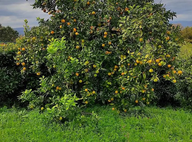 Casa Do Alto * Adaufe