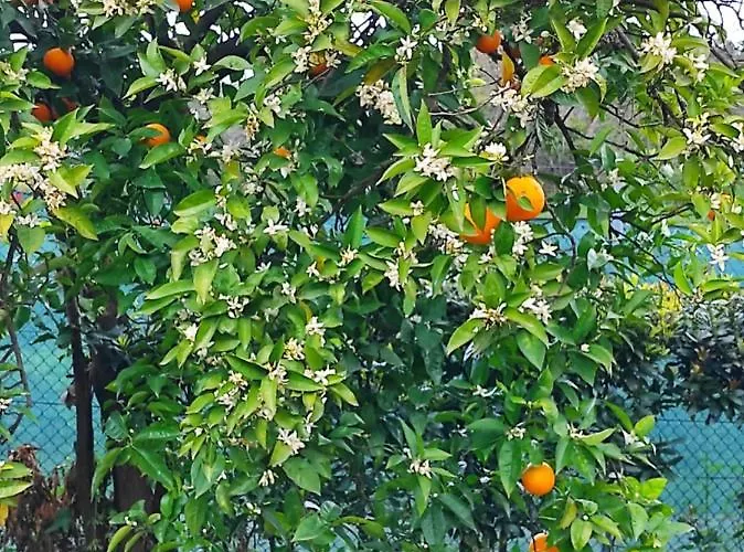 Casa Do Alto Lejlighed Adaufe