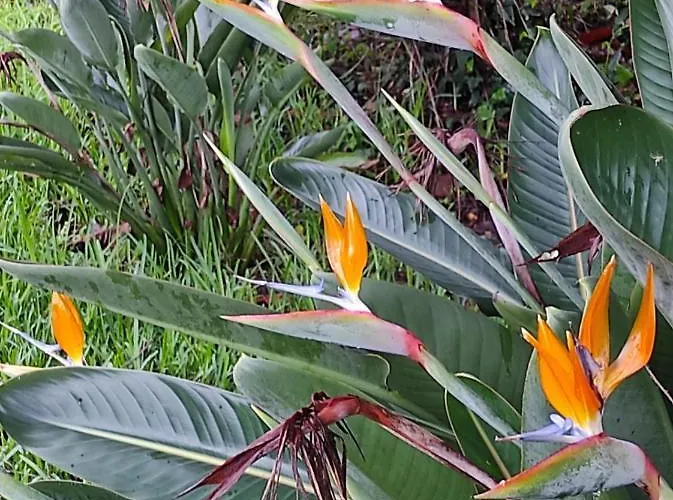 Casa Do Alto Apartament