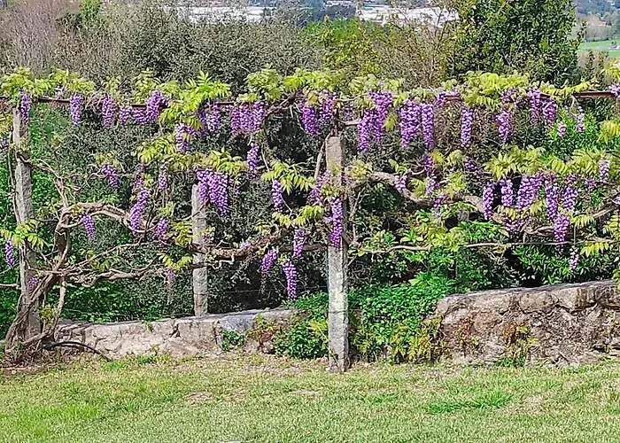 Casa Do Alto Lejlighed Adaufe
