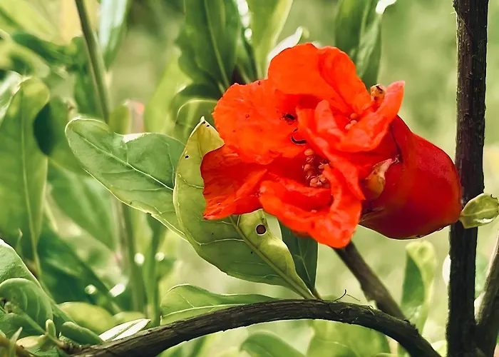 Apartament Casa Do Alto Adaufe