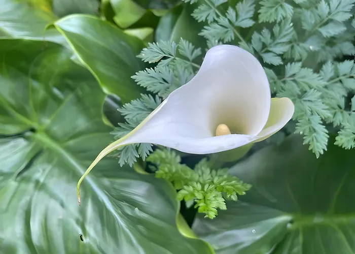 Apartament Casa Do Alto Adaufe