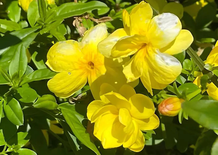 Casa Do Alto Apartament Adaufe