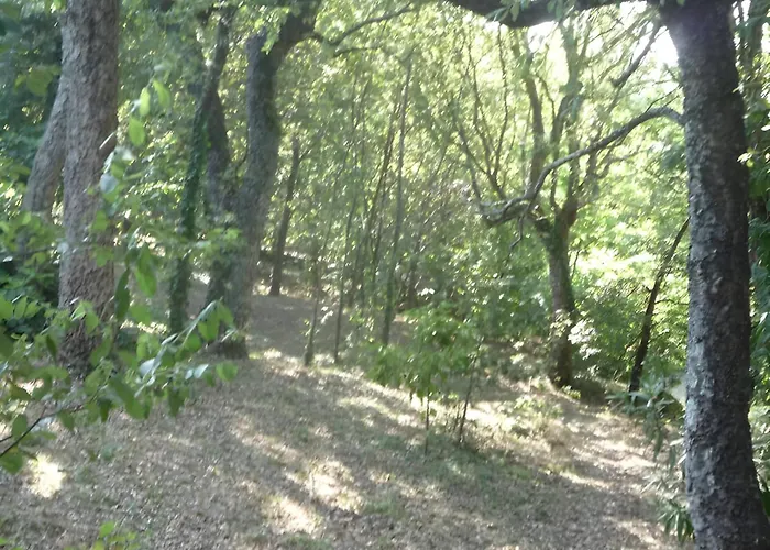 Apartament Casa Do Alto *