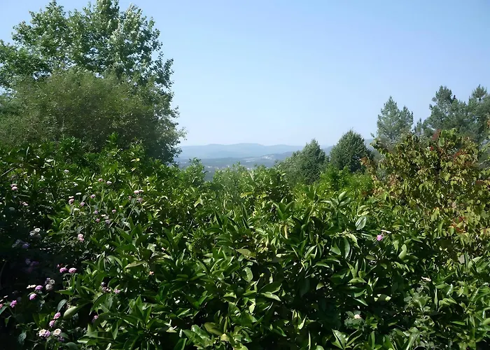 Apartament Casa Do Alto