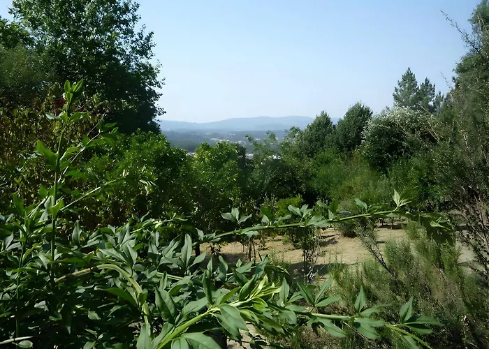 Casa Do Alto * Adaufe